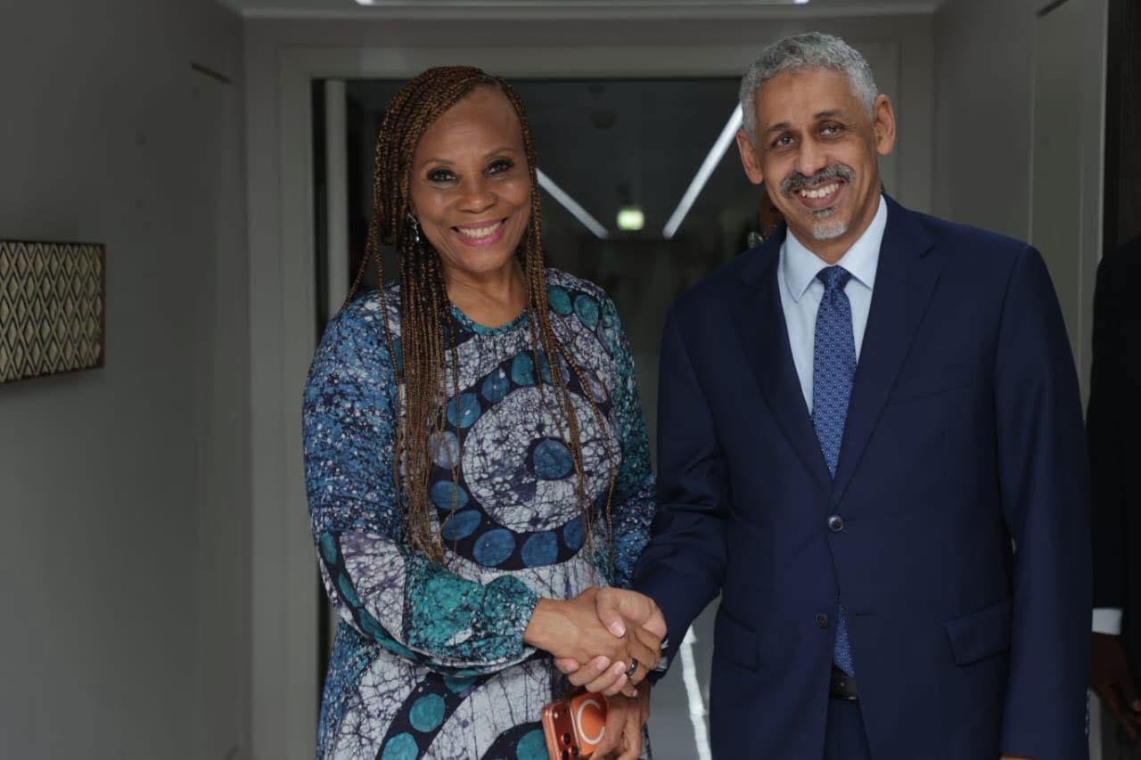 PNUD et BAD unissent leurs forces pour l'Afrique