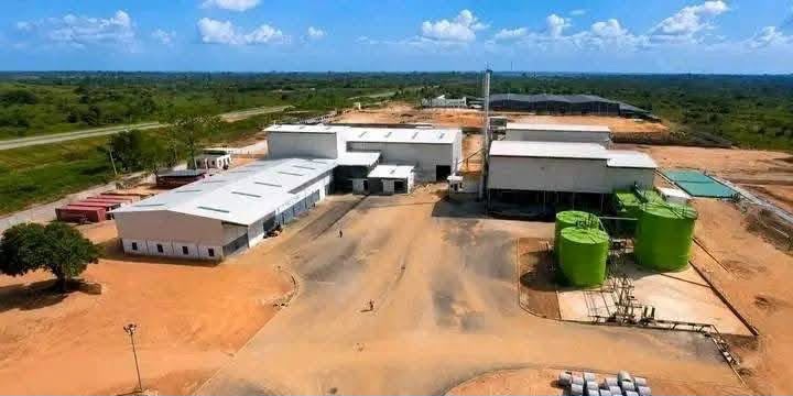 Bouaké : le karité et le soja prennent le chemin de l'industrie